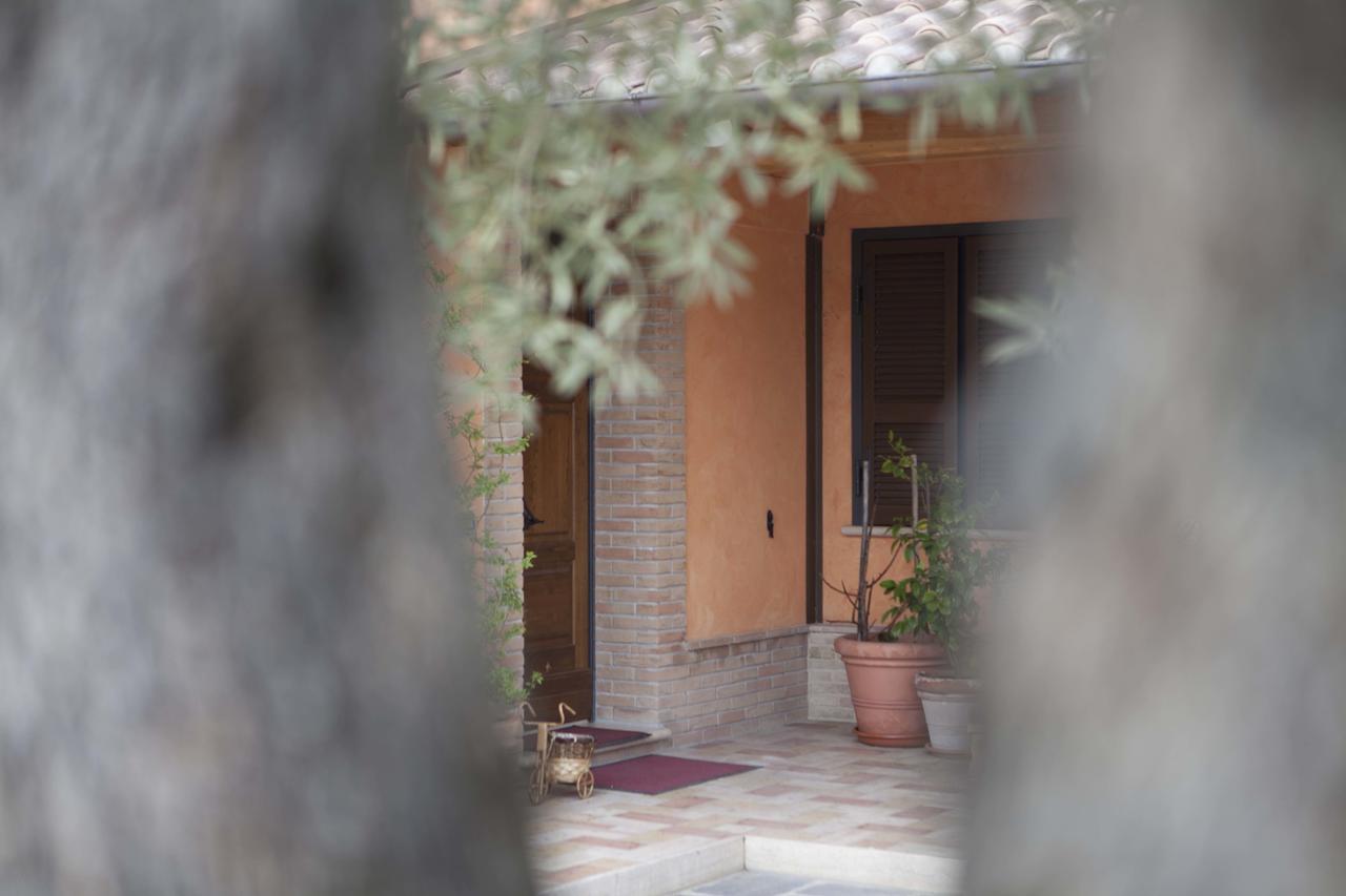 B&B La Gioiosa Assisi Exteriér fotografie