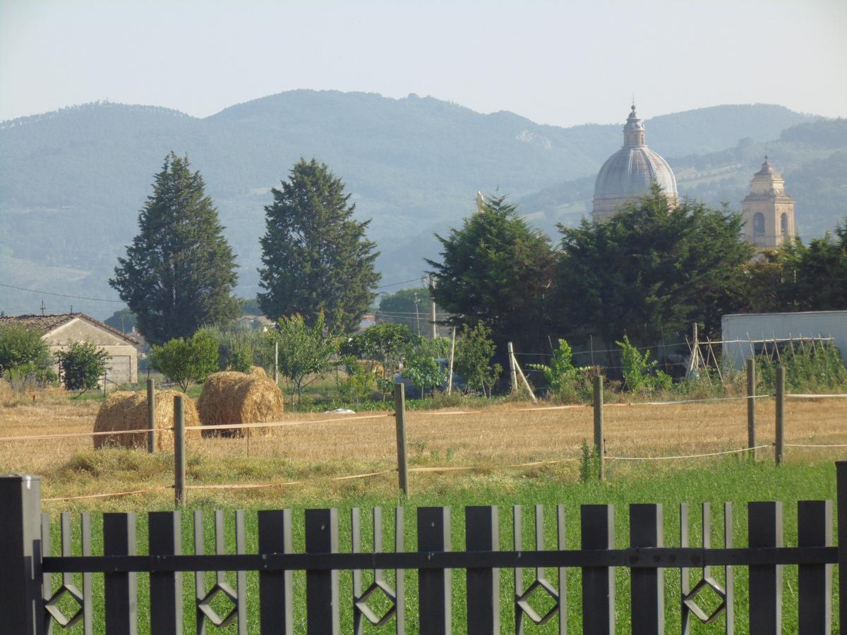 B&B La Gioiosa Assisi Exteriér fotografie